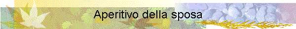 Aperitivo della sposa