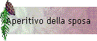 Aperitivo della sposa