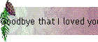 Goodbye that I loved you